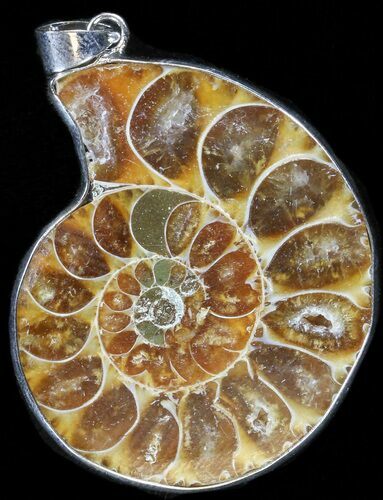 Fossil Ammonite Pendant - Million Years Old #37911